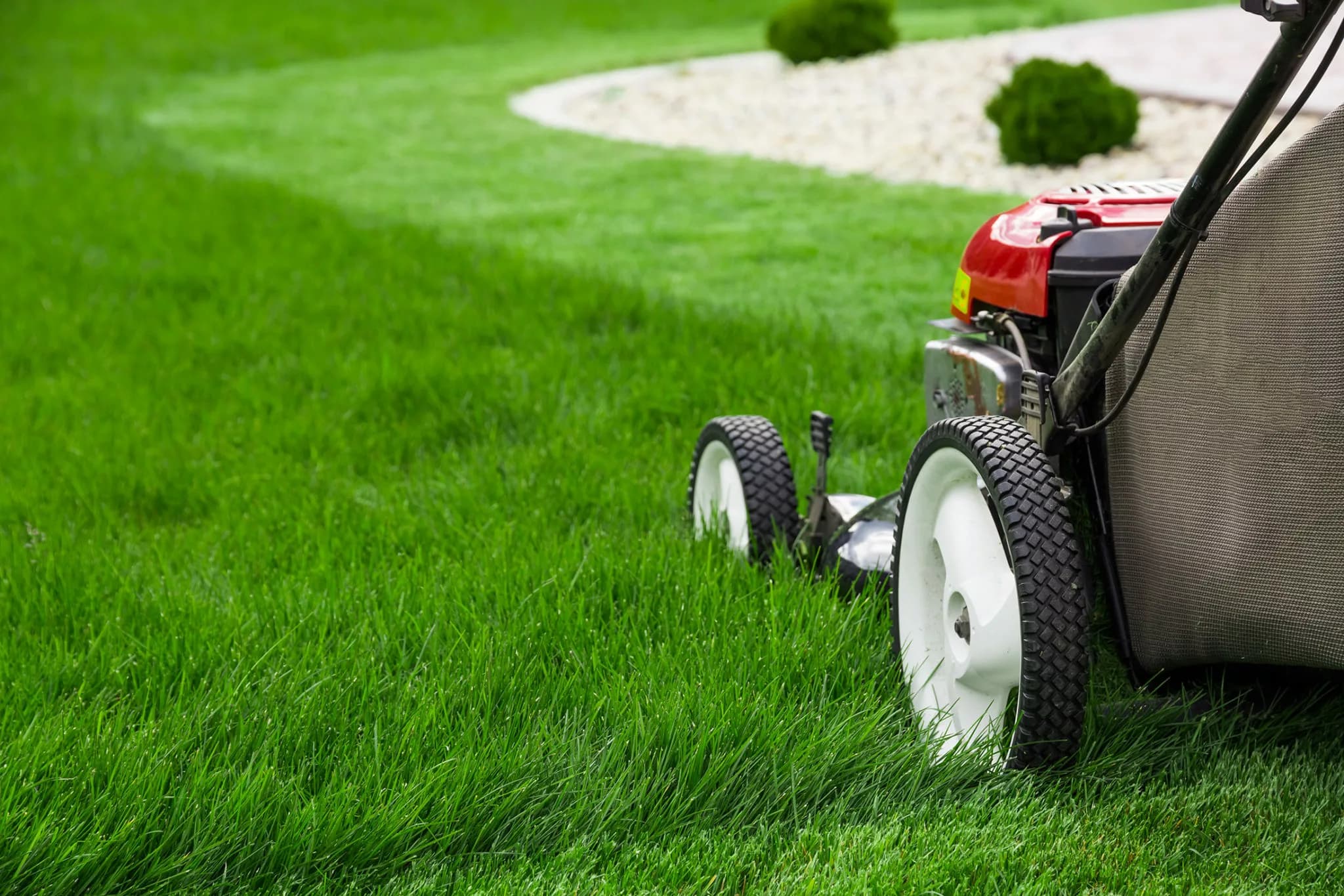 Spring Lawn Care Checklist for Cape Cod Homeowners