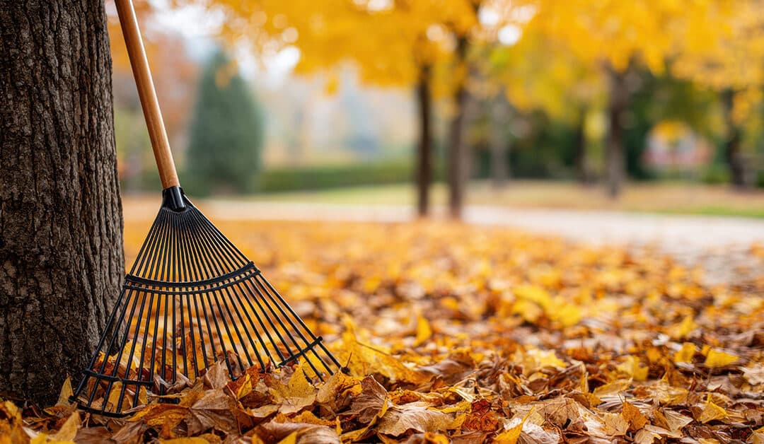 Fall Cleanup: Preparing Your Cape Cod Property for Winter
