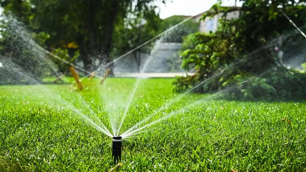 Irrigation Systems for Cape Cod Properties: What You Need to Know
