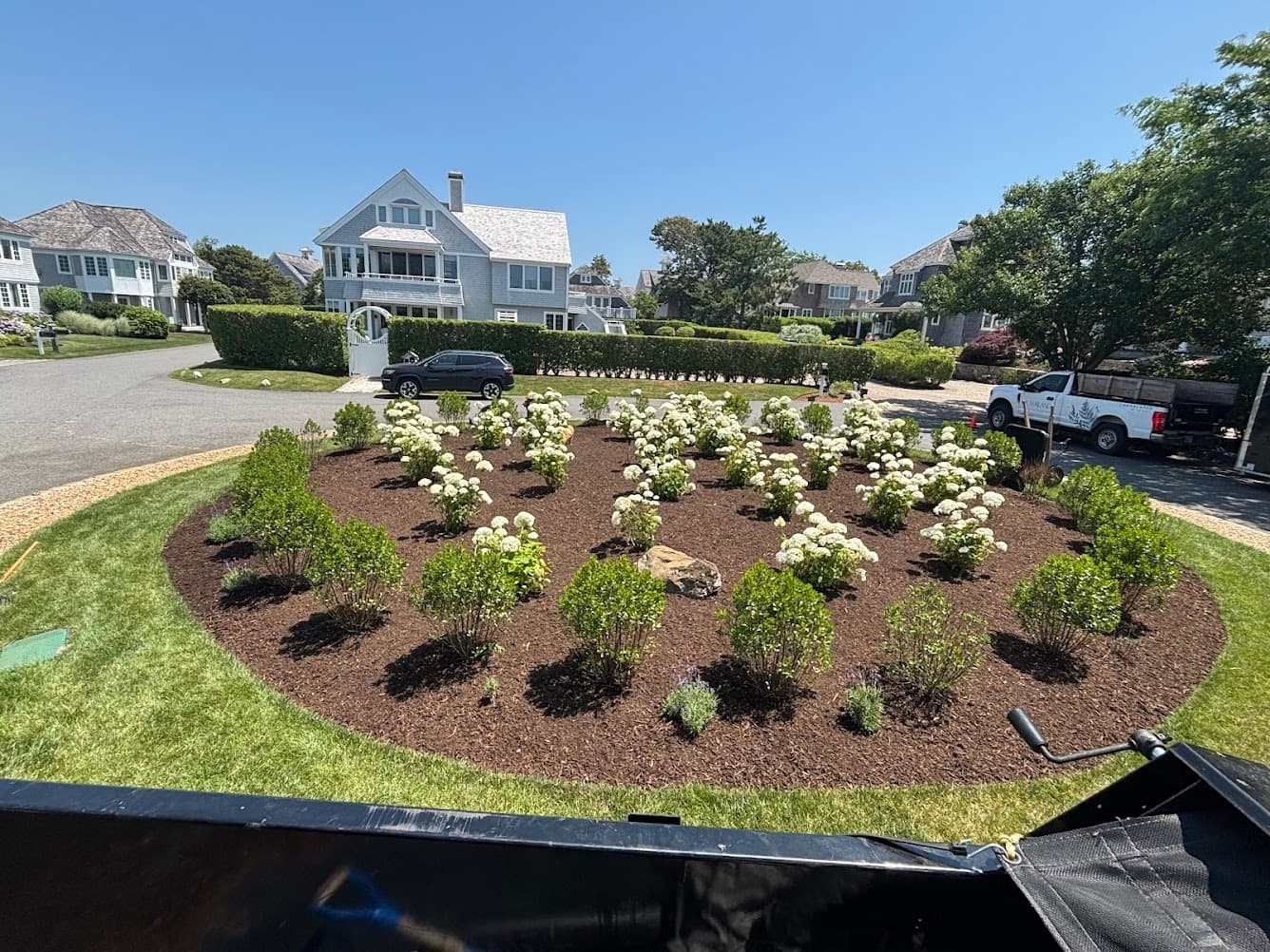 Native Plants for a Beautiful Cape Cod Landscape