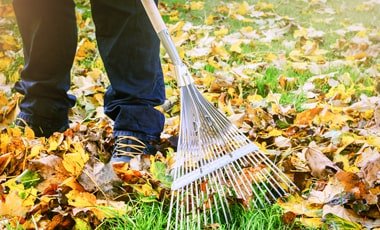 Sofkin Landscape and Irrigation | Plant Cutting