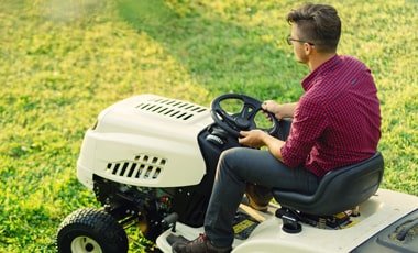 Sofkin Landscape and Irrigation | Plant Cutting