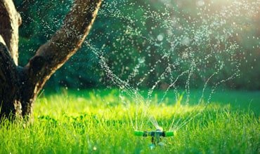 Sofkin Landscape and Irrigation | Gardening & Lawn Sofkin Landscape and Irrigation | Gardening & Lawn