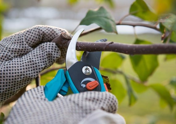 Sofkin Landscape and Irrigation | Parking Cleaning