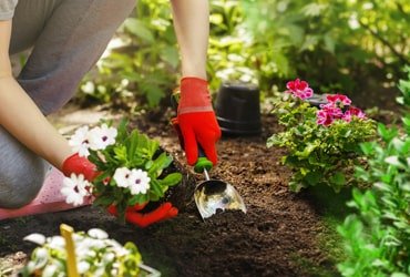 Sofkin Landscape and Irrigation | Gardern Cleaning