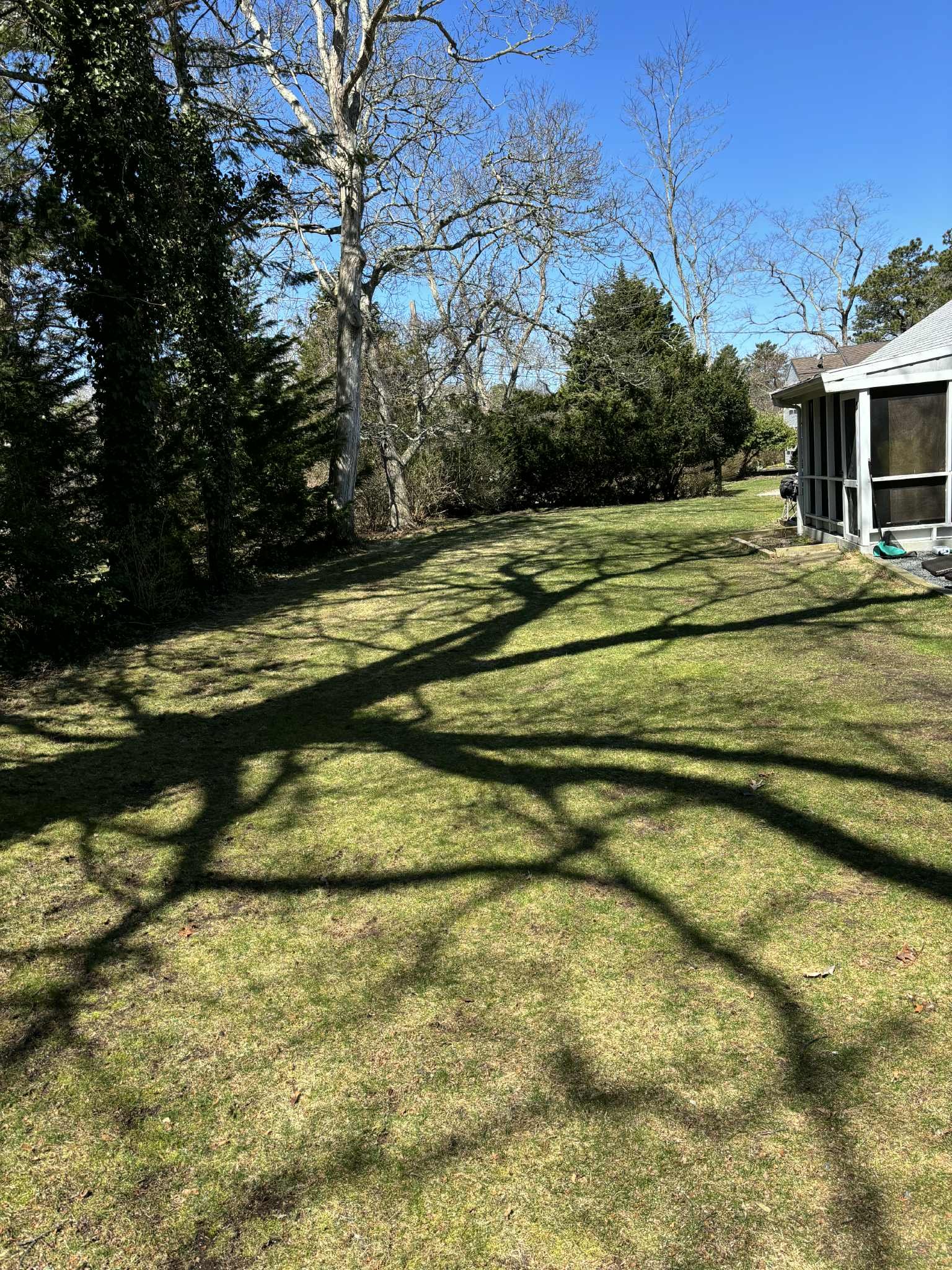 service single images