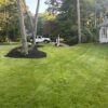Sofkin Landscape and Irrigation | Tree and Shrub Care on Cape Cod: A Complete Guide to Healthy, Beautiful Plants