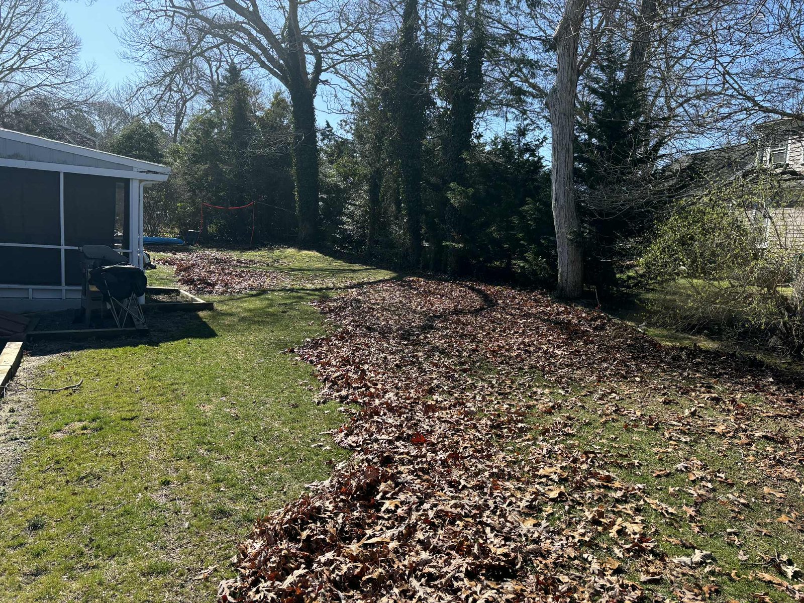 service single images