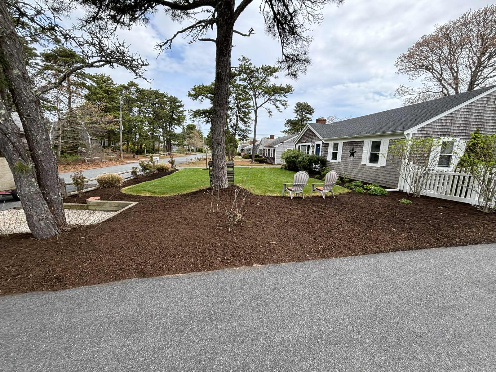 service single images