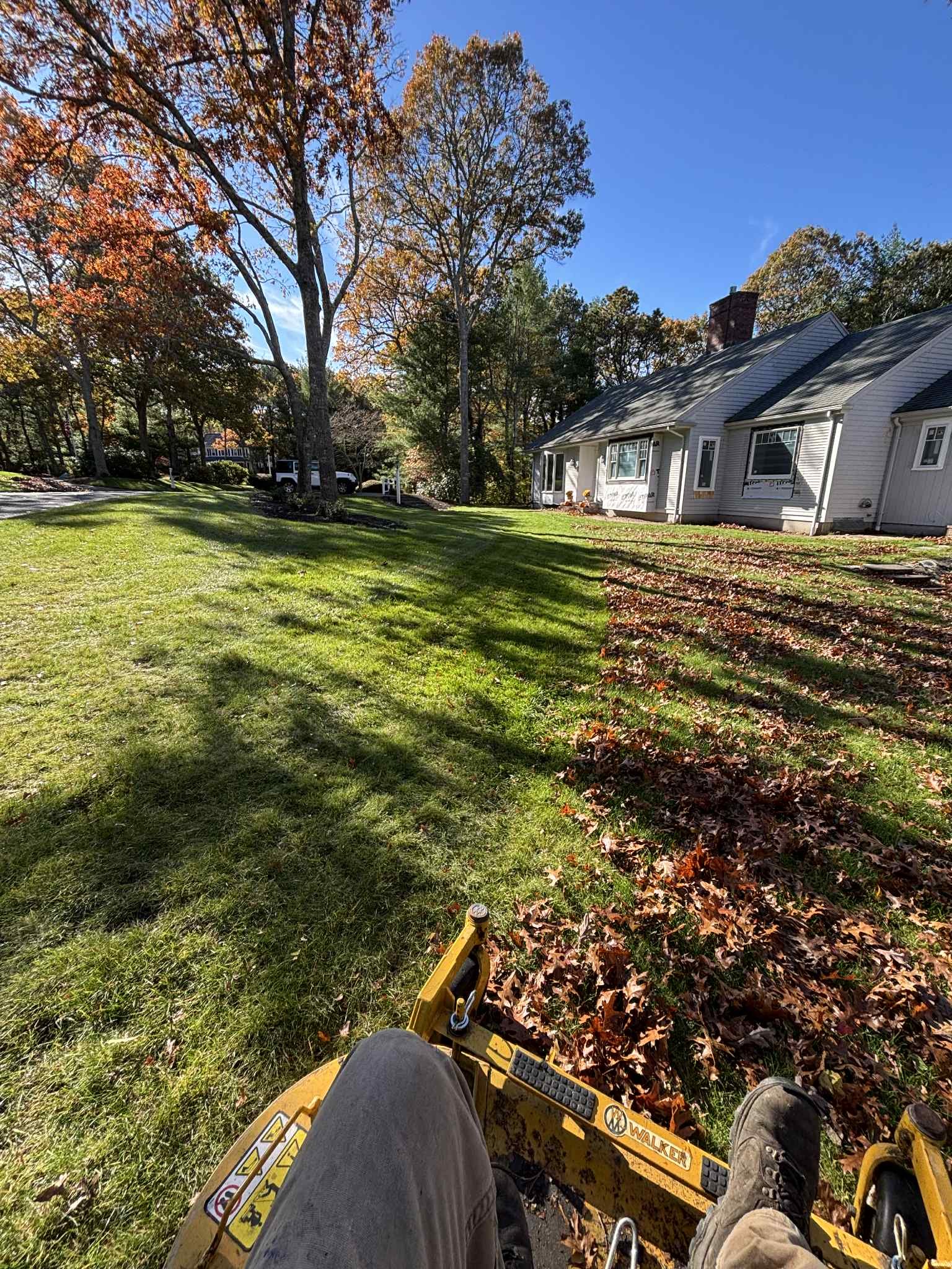 service single images