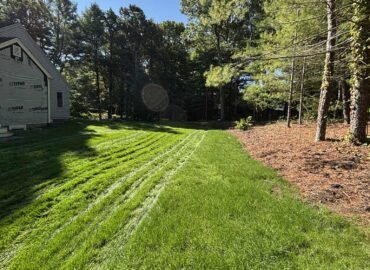 New lawn installation with fresh green grass in Cape Cod backyard