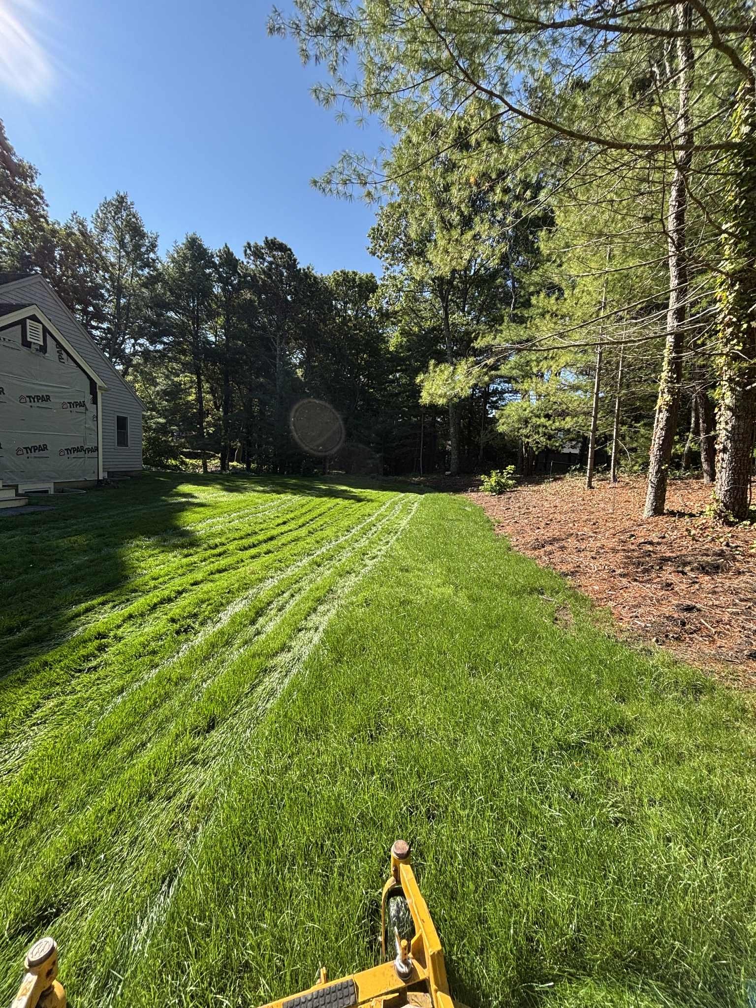 service single images